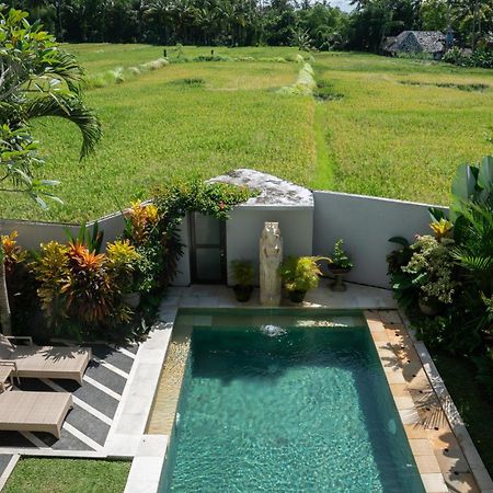 Ananditha Villa Ubud Ricefield Views מראה חיצוני תמונה