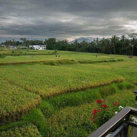 Ananditha Villa Ubud Ricefield Views מראה חיצוני תמונה