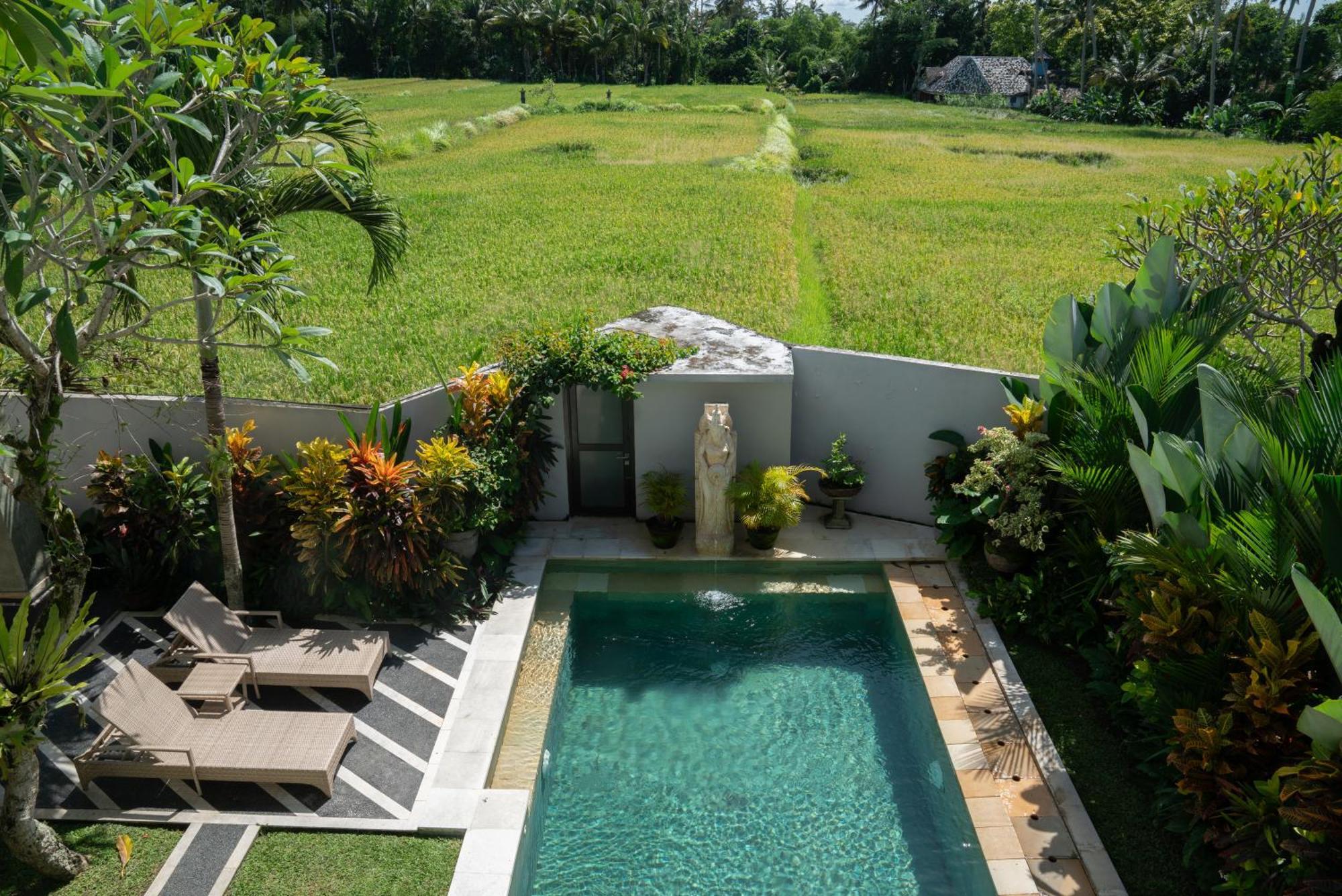 Ananditha Villa Ubud Ricefield Views מראה חיצוני תמונה