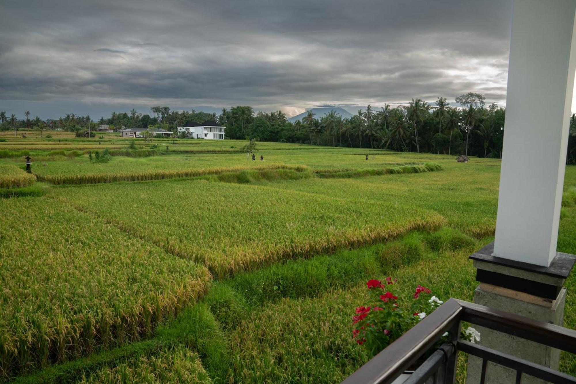 Ananditha Villa Ubud Ricefield Views מראה חיצוני תמונה